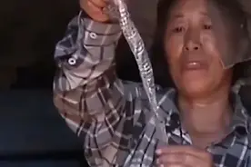 06年黑龙江农妇将蛇驱赶，隔日蛇携伴侣入住：15年孕育上百条小蛇图片