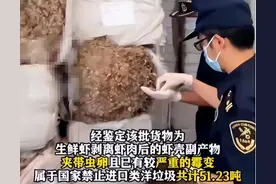 51吨洋垃圾已悄悄运往中国？腥臭味扑鼻还有虫卵，为何屡禁不止？图片