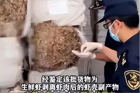51吨洋垃圾已悄悄运往中国？腥臭味扑鼻还有虫卵，为何屡禁不止？图片