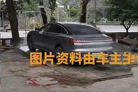 比亚迪汉电池包被老鼠咬自费8万换电池？网友：电池终身质保？图片