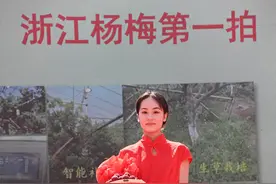 两斤“浙江杨梅第一早”拍出880元图片