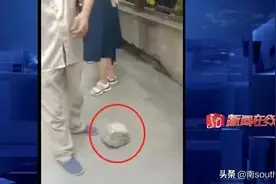 扔石头！又是高空坠物，法律怎么看？图片