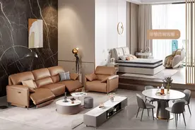 最强铁杆粉，带你选购芝华仕全屋家居图片