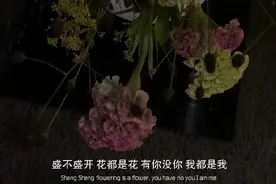 后来我遇见很多人，像你但都不是你图片