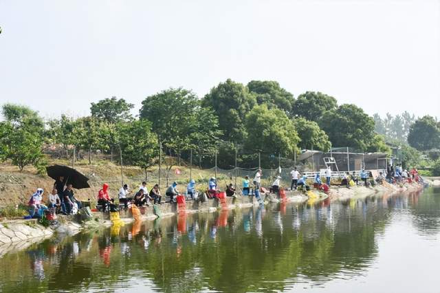 四川省民生研究会新媒体中心-官网