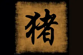 关于十二生肖的冷门传说：猪图片