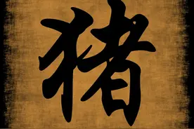 关于十二生肖的冷门传说：猪图片