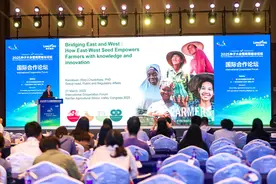 2025种子大会：南繁硅谷的国际“引流”效应正加速图片