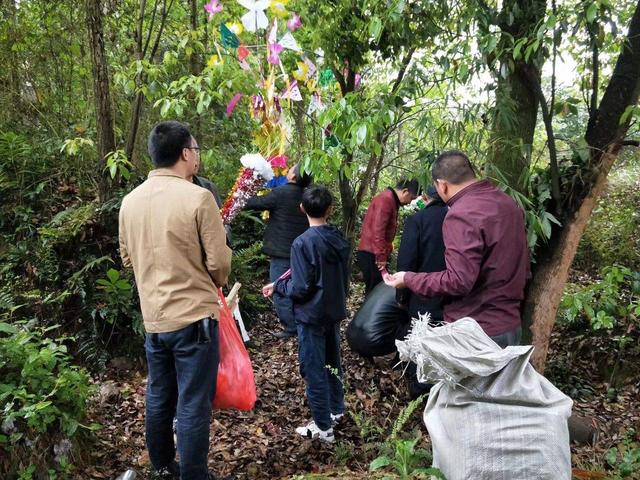 清明节将至，俗语扫墓祭祖“四不做，一做穷三代”，指的是哪些？