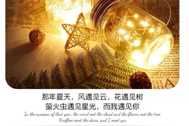 分享太阳能庭院灯瓶子灯0电费0布线点缀庭院生活图片