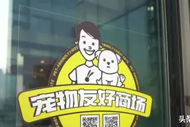 宠物也能进商场！武汉兴起宠物友好商场图片