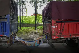 货车司机上海漂流记图片