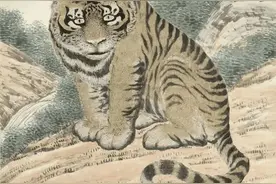 60年一遇，壬寅年极简史图片