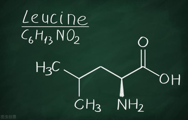 “蛋白质”“氨基酸”人体最重要的营养素之一