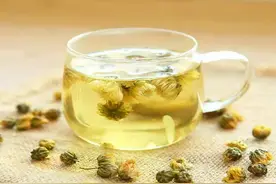 入末伏，建议中老年人别不舍得钱，3款菊花好喝还营养，该喝就喝图片