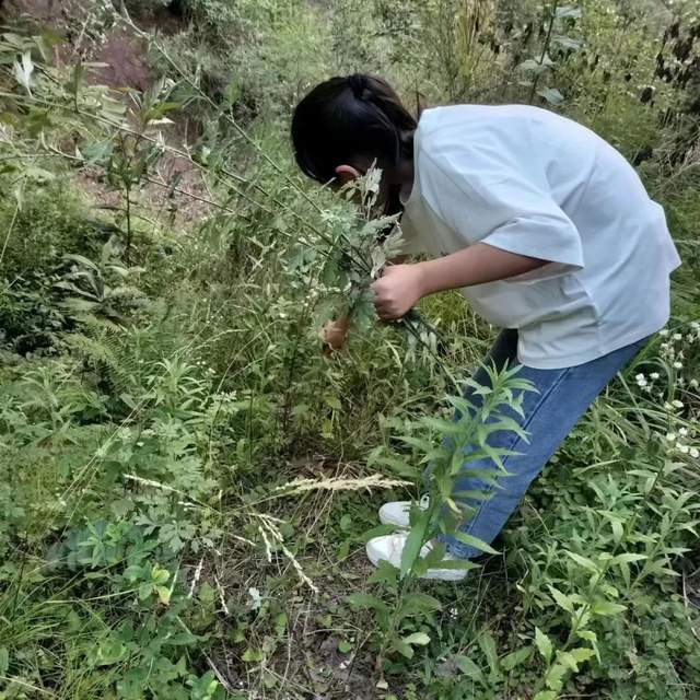 四川省民生研究会新媒体中心-官网