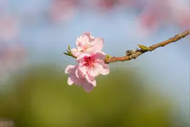 活着的意义是什么？56岁退休的女人：人活着不过是为这几件事图片