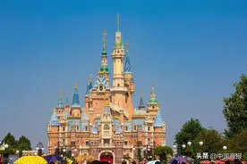 退票还要开“情侣关系证明”？迪士尼、飞猪互踢皮球，律师：情侣不属于法律关系图片