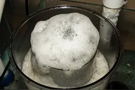 海缸入门-蛋分篇图片