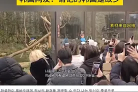 离大谱！福宝启程回国，韩国人却破防，抱怨中方“抢走韩国熊猫”图片