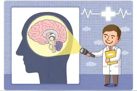 关注你的“头”等大事，干细胞助力脑部疾病--北科生物图片