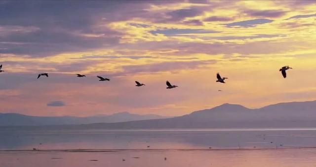 【心理健康】十一条心理学知识 帮助你减少焦虑！