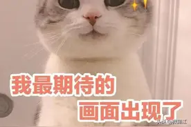 【元旦游蒲江】这些宝藏好耍地治愈你的选择困难症！图片