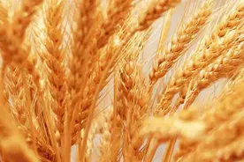 【防患于未“燃”】这些麦收防火消防知识请查收！图片