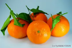 芥川龙之介：橘图片
