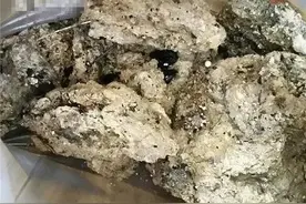 潜伏在下水道里的油脂怪，250米长还在壮大，让英国政府头都大了图片