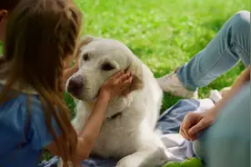 有哪些一看“救命，要被笑死”的文案图片