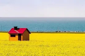 夏季车内6大危险品，出事别怪保险不赔图片