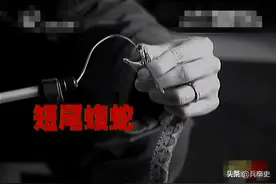 2010年，广东村庄一夜突现上百条“毒蛇”，越打越多专家发现端倪图片