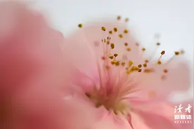 人生最值钱的四大投资图片
