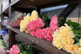 日本的鲜花进口地转向亚洲，中国产最多图片