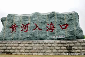 《山东行》泾渭分明的黄河入海口图片