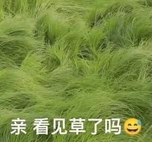 全国第一相亲App出事！会员聊天记录随便看，隐私全没了