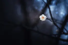 人这一辈子，所有的遇见和别离，都是命中注定图片