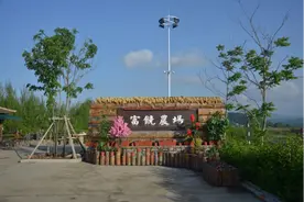 城市近郊，像这样“可观、可游、可居”的农场，才是理想的打卡地图片