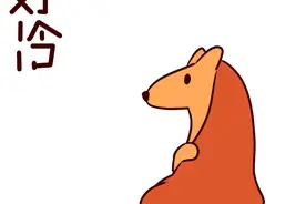 冷冷冷+雨雨雨，夏天你还来吗？我已经穿上冬装了…图片