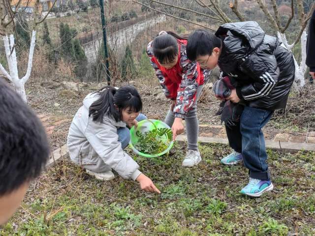 四川省民生研究会新媒体中心-官网