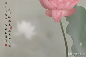 ​蝉鸣声声夏日长图片