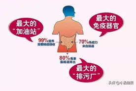 提升免疫力，改善身体伴随问题，需要注意肠道健康图片