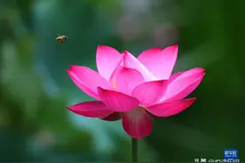 2023高考英语词汇 evolution图片