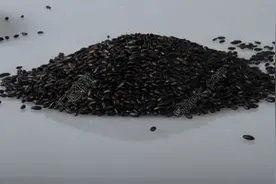 自古黑米就称为“药米”，可提醒大家：这3类人却不能多吃，你呢图片