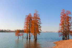 情感感悟：父亲过世后，我才懂得人生的意义图片