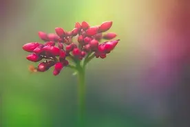 拥有上等风水的家庭，往往有三不动，越不动福气就越多图片