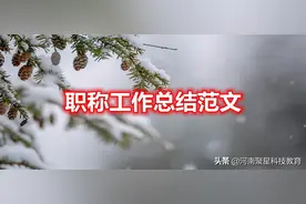 职称工作总结范文图片