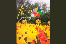 都江堰动物王国首届“童话风车节”火爆来袭，10万风车打造童话世界！图片