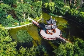 青岛星河湾|约216㎡美学平层 诠释湾芯美好生活图片